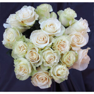 BOUQUET DE ROSES